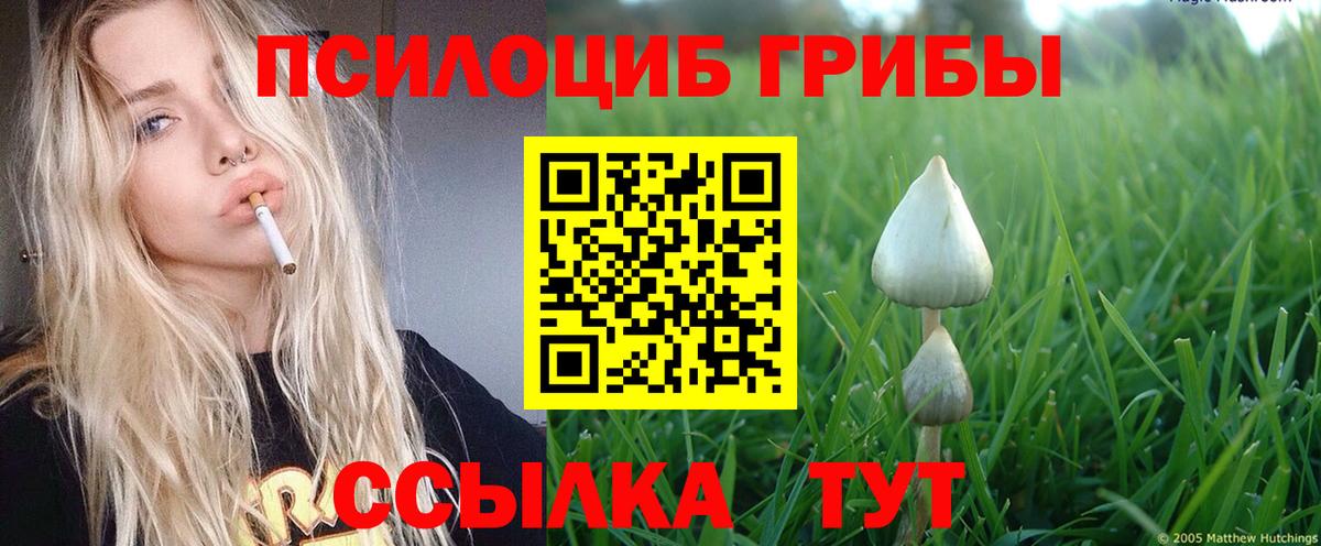 Кувандык  Псилоцибиновые грибы GOLDEN TEACHER  Вход с VPN 